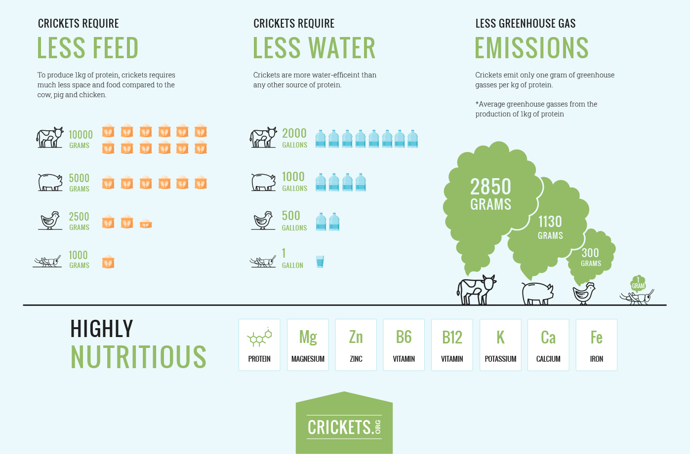 Crickets vs beef carbon footprint