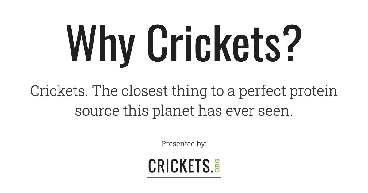 Why Crickets?