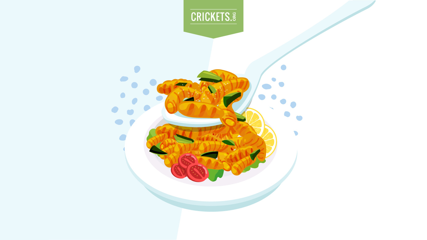 Insect recipes