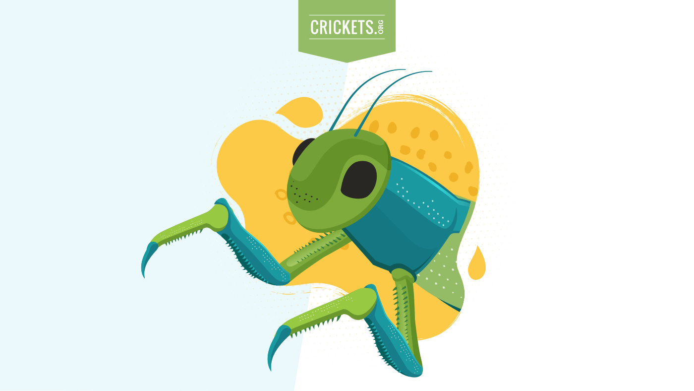 Eat Crickets